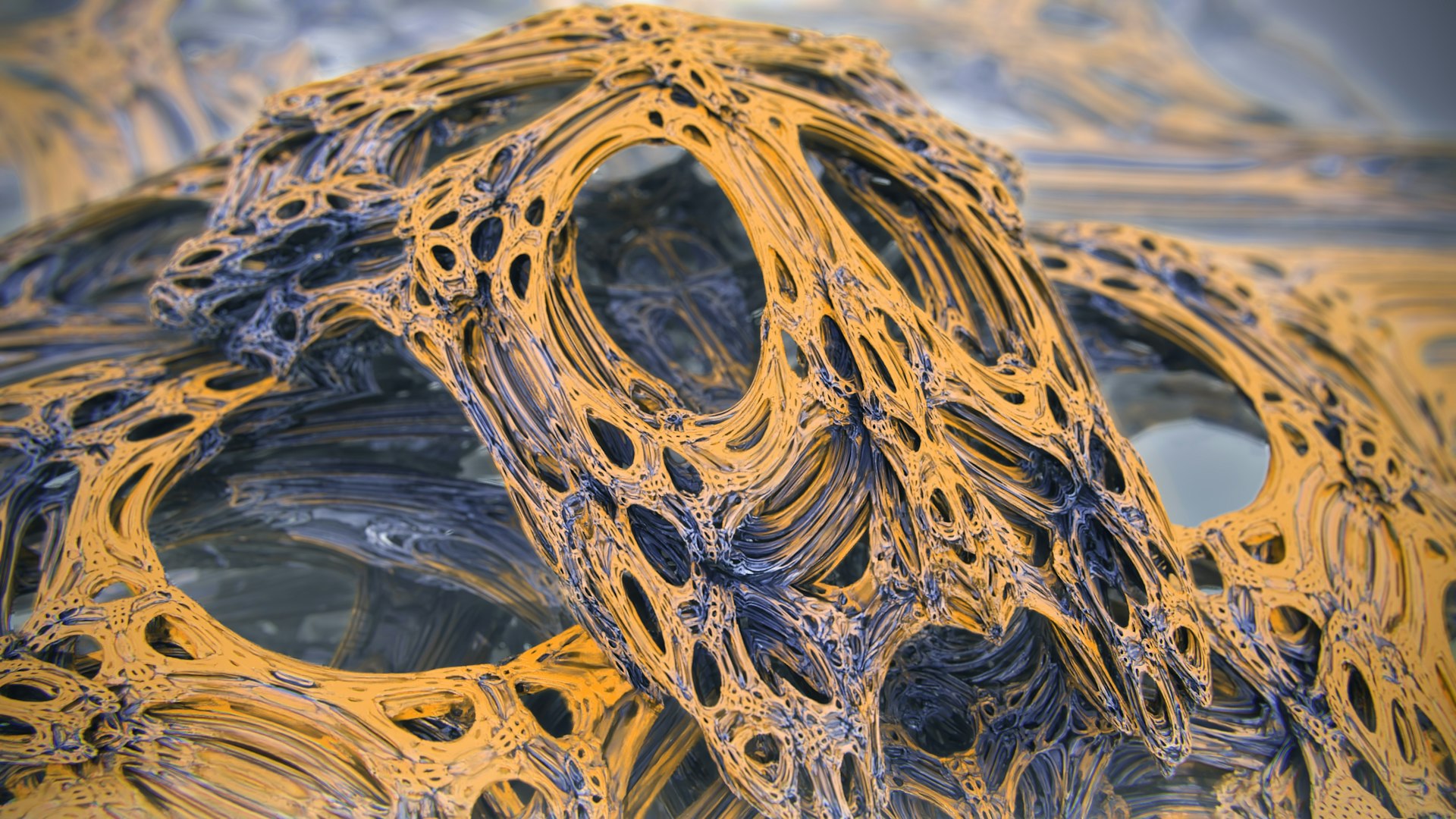 a close up of a skull